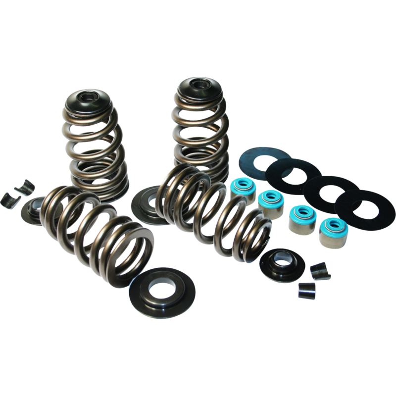 FUELING ECON BEEHIVE VALVE SPRING KIT HARLEY DAVIDSON MODELS - The Speed Shop Canada