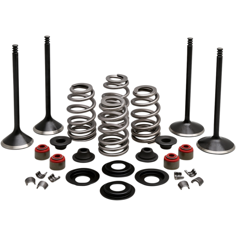 KIBBLEWHITE BLACK DIAMOND ENGIVE VALVE KITS HARLEY DAVIDSON MODELS - The Speed Shop Canada