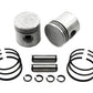 Eastern E-834-010 3-5/16 in. Piston Set, .010 Oversize