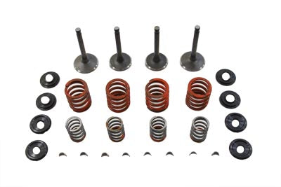Sifton 11-0794 Nitrate Valve and Spring Kit for Shovelhead Models