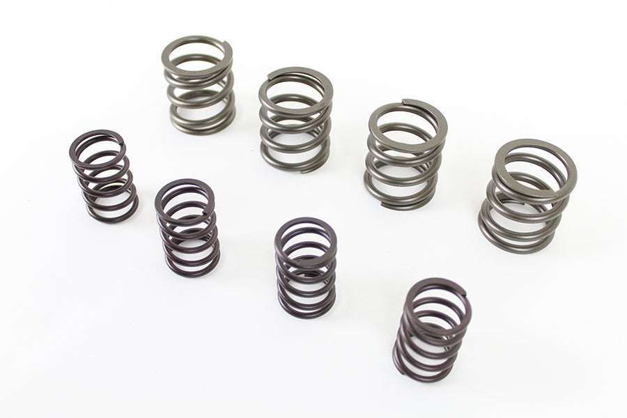Kibblewhite 20-20853 Stock Replacement Valve Spring Set