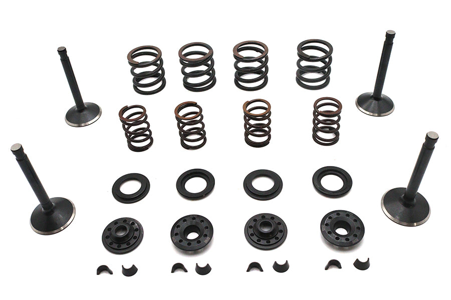 Kibblewhite 20-22050 Valve and Spring Kit