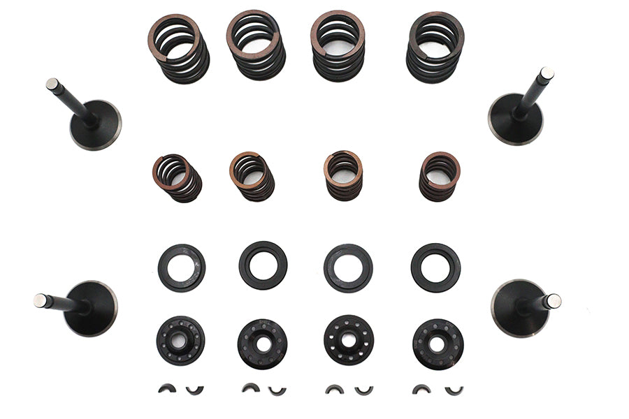 Kibblewhite 20-22050 Valve and Spring Kit