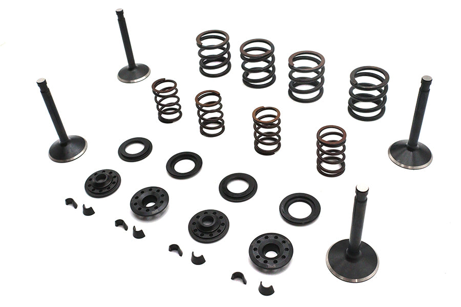 Kibblewhite 20-22050 Valve and Spring Kit