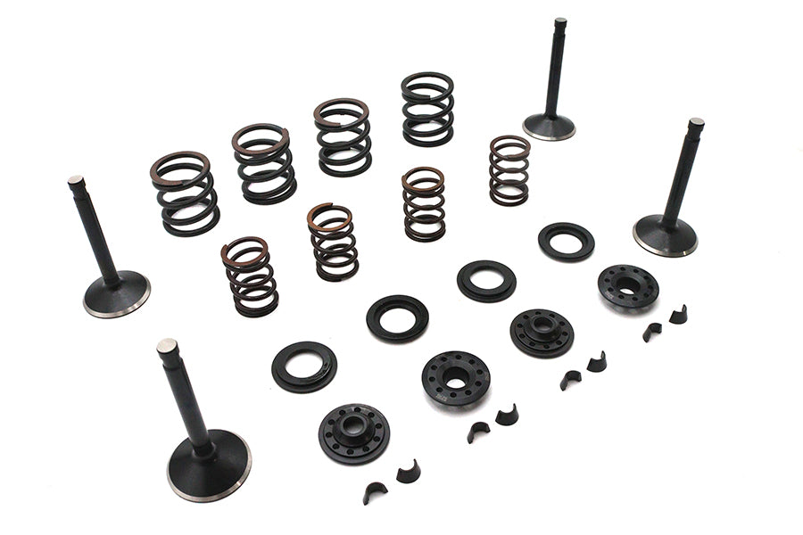 Kibblewhite 20-22050 Valve and Spring Kit