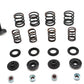 Kibblewhite 20-22550 Valve and Spring Kit