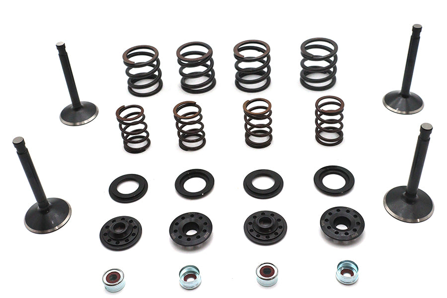 Kibblewhite 20-22550 Valve and Spring Kit