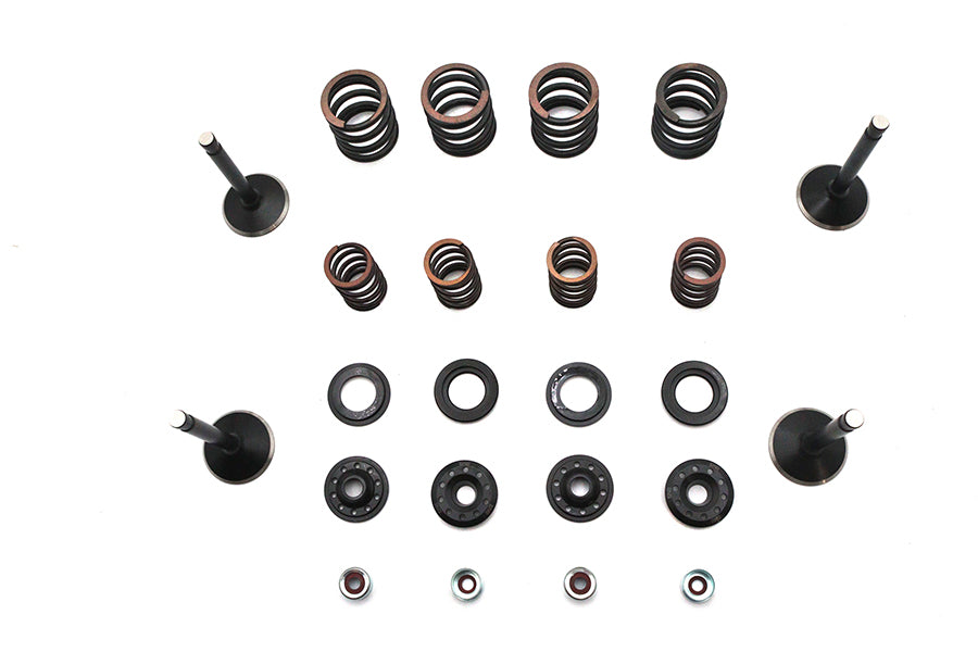 Kibblewhite 20-22550 Valve and Spring Kit