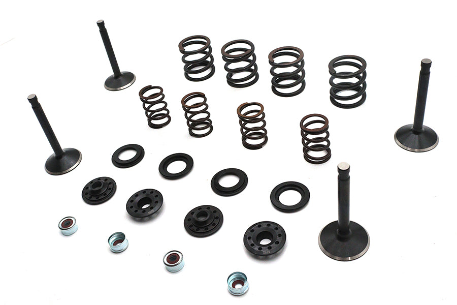 Kibblewhite 20-22550 Valve and Spring Kit