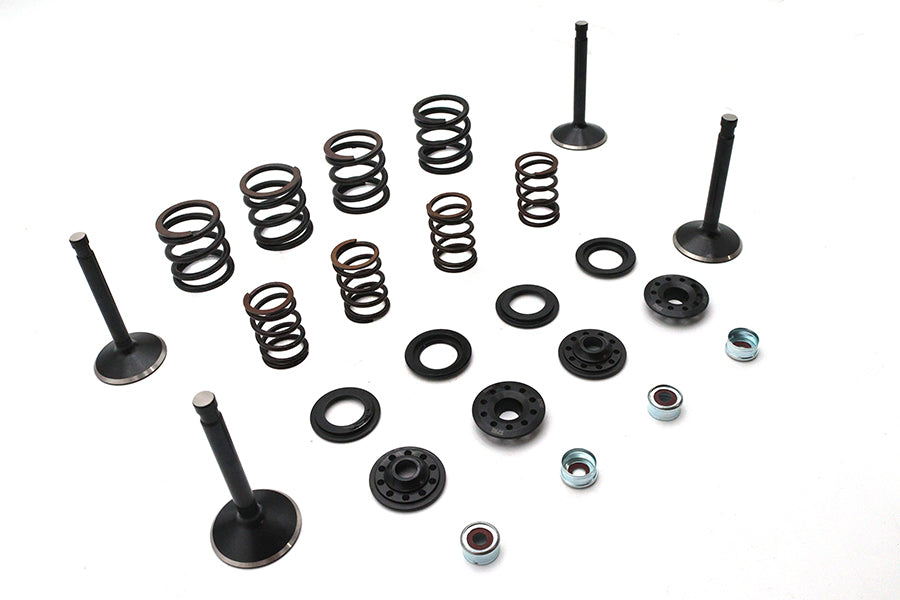 Kibblewhite 20-22550 Valve and Spring Kit