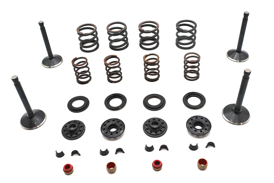 Kibblewhite 20-22650 Valve and Spring Kit