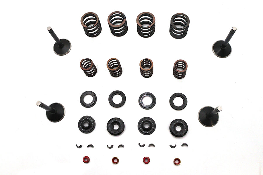 Kibblewhite 20-22650 Valve and Spring Kit