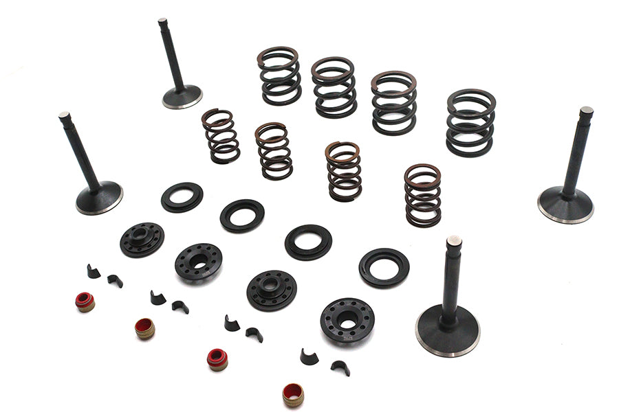 Kibblewhite 20-22650 Valve and Spring Kit