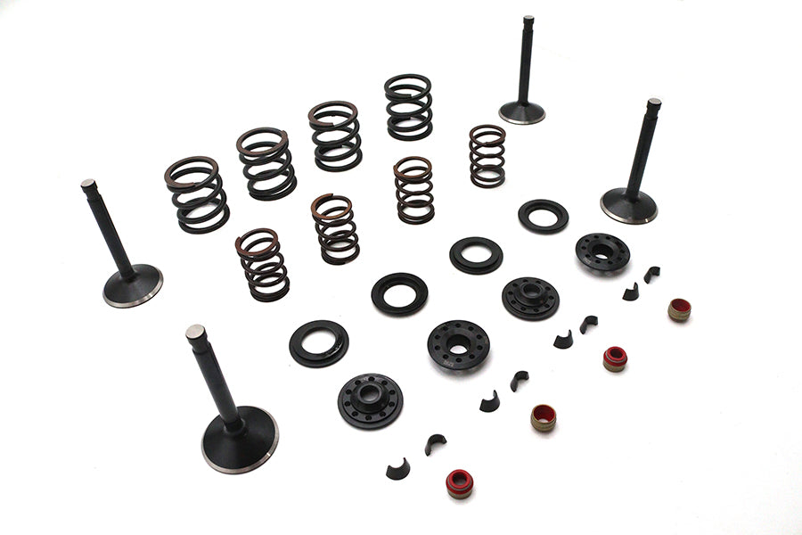 Kibblewhite 20-22650 Valve and Spring Kit