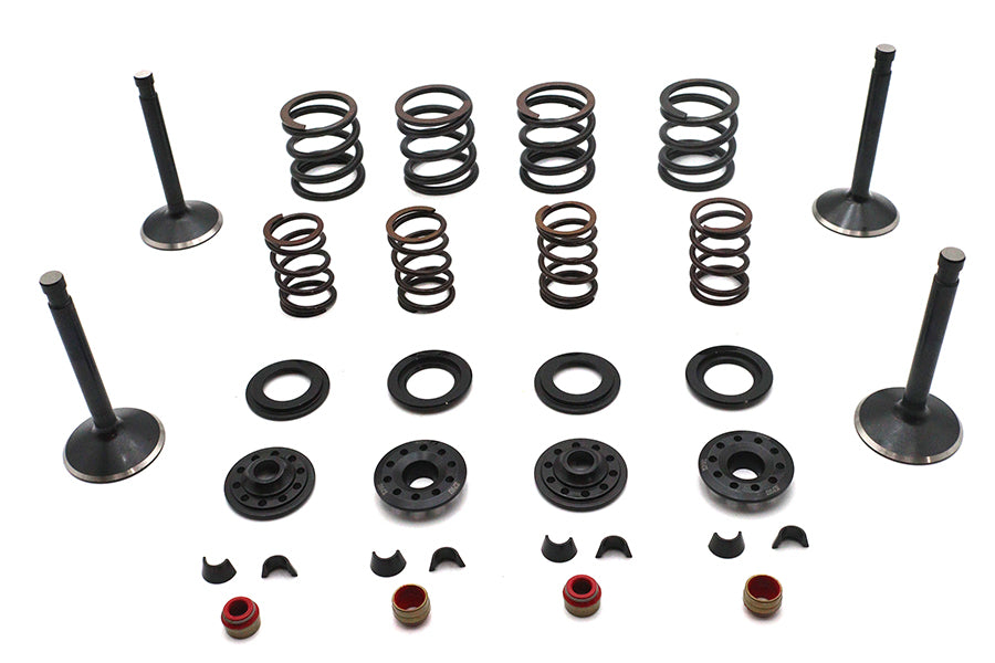 Kibblewhite 20-23050 Valve and Spring Kit
