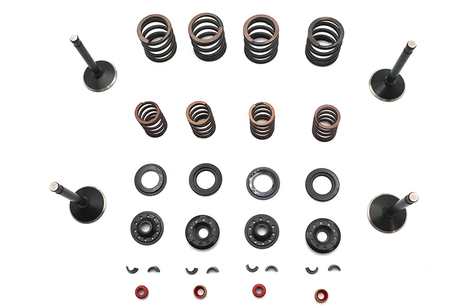 Kibblewhite 20-23050 Valve and Spring Kit