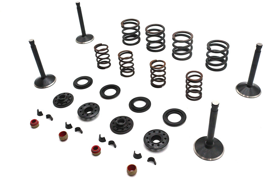 Kibblewhite 20-23050 Valve and Spring Kit