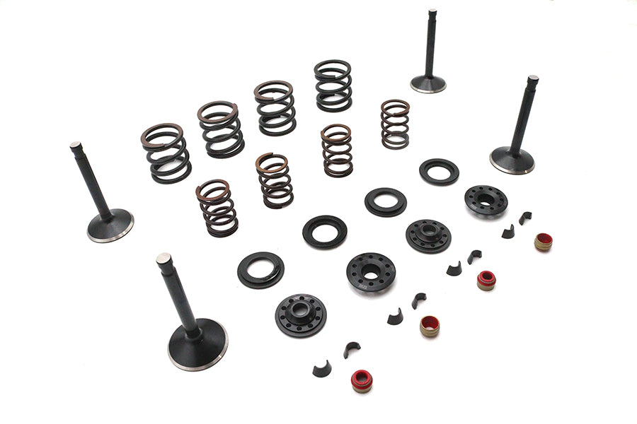 Kibblewhite 20-23050 Valve and Spring Kit