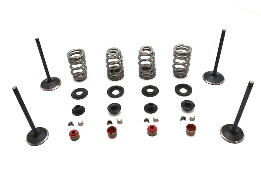 Kibblewhite 20-23150 Valve and Spring Kit