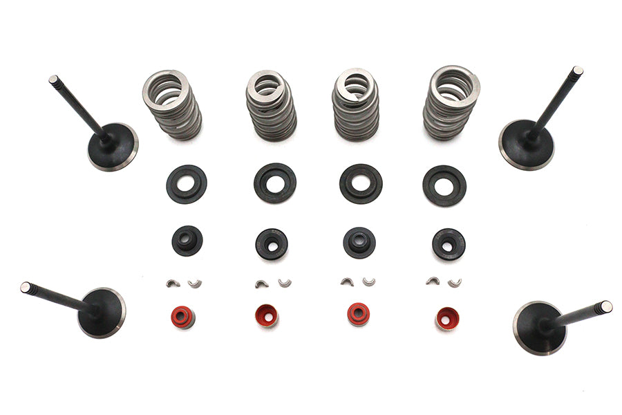Kibblewhite 20-23150 Valve and Spring Kit