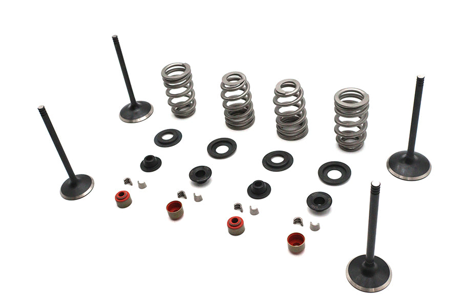 Kibblewhite 20-23150 Valve and Spring Kit