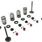 Kibblewhite 20-23150 Valve and Spring Kit