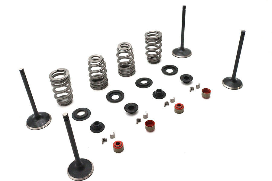 Kibblewhite 20-23150 Valve and Spring Kit