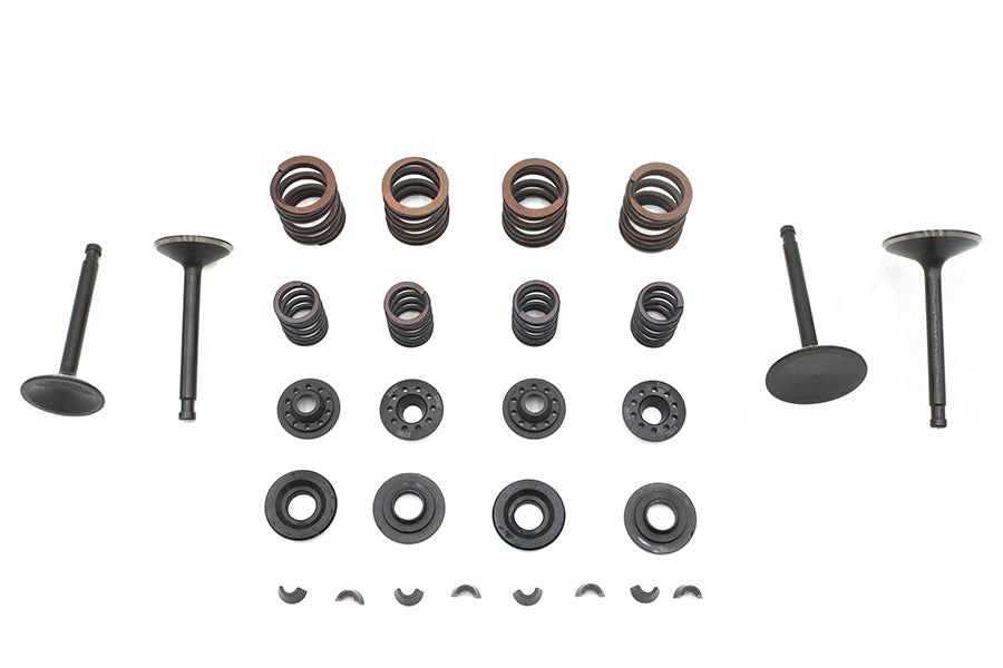 Kibblewhite 20-22250 Valve and Spring Kit