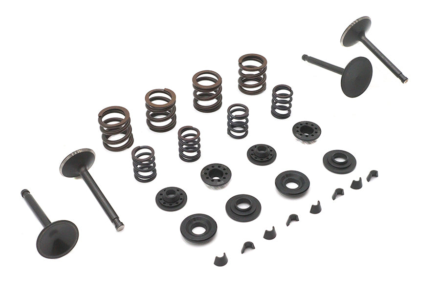 Kibblewhite 20-22250 Valve and Spring Kit
