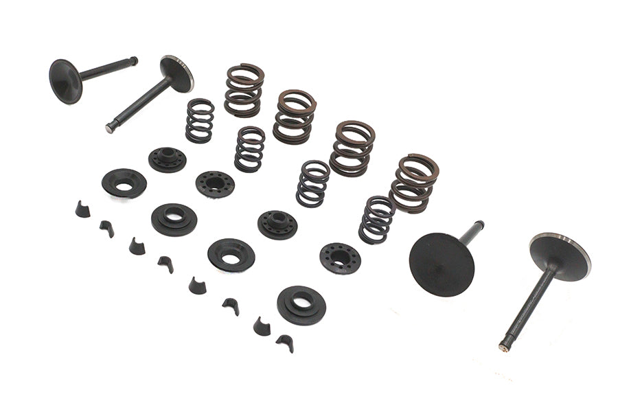 Kibblewhite 20-22250 Valve and Spring Kit