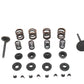 Kibblewhite 20-22250 Valve and Spring Kit