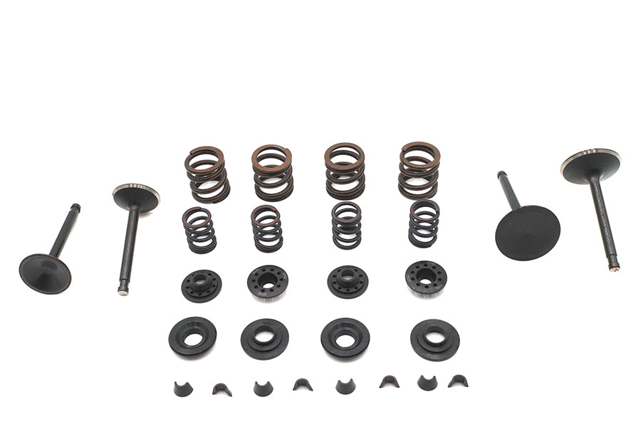 Kibblewhite 20-22250 Valve and Spring Kit