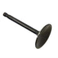 Kibblewhite 20-4196 1000cc Stainless Black Diamond intake valve for engine applications