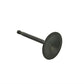 Rowe 73003 1000cc Black Melonite Stem Intake Valve