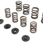 Manley 99216 Valve Spring Kit, SKU 11-9613