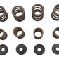 Manley 99216 Valve Spring Kit, SKU 11-9613