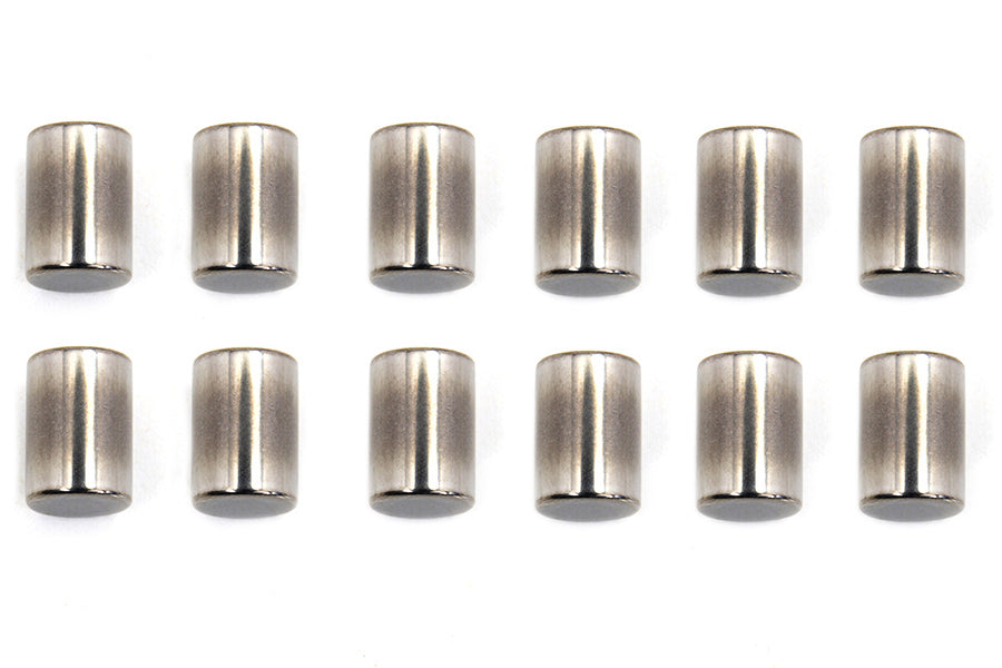 Eastern A-9321-24 Standard Engine Case Roller Bearings, Left Side
