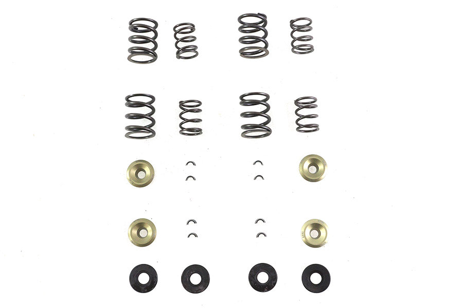 Kibblewhite 20-2110 Valve Spring Kit