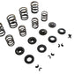 Kibblewhite 20-21150 Valve Spring Kit