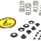 Kibblewhite 20-21300 Beehive Valve Spring Kit