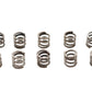 Eastern A-56394-74 Handlebar Throttle Clamp Screw Spring, SKU 13-9197