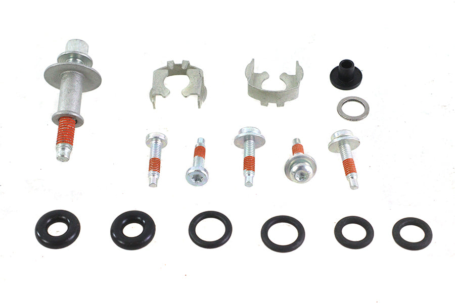 OE 27655-06 EFI O-Ring and Gasket Kit for fuel and air systems, assorted seals and gaskets spa.