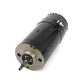 Cycle Electric DGV-5006 black 6-volt 2-brush generator with standard output