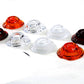 V-Twin 33-0097 Guide Bullet Marker Lamp Lens Set