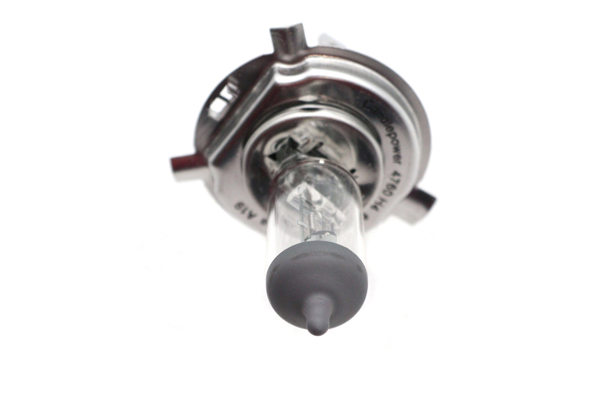 Candlepower 6 Volt Bulb H4-P43T6-60S