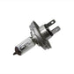Candlepower H-4 Bulb Only 48588