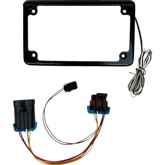 Custom Dynamics black license plate frame with tag light for SXS