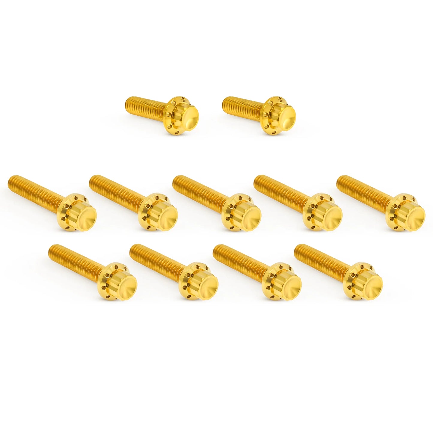 ARLEN NESS TITANIUM PRIMARY COVER BOLT KITS HARLEY DAVIDSON MODELS - The Speed Shop Canada