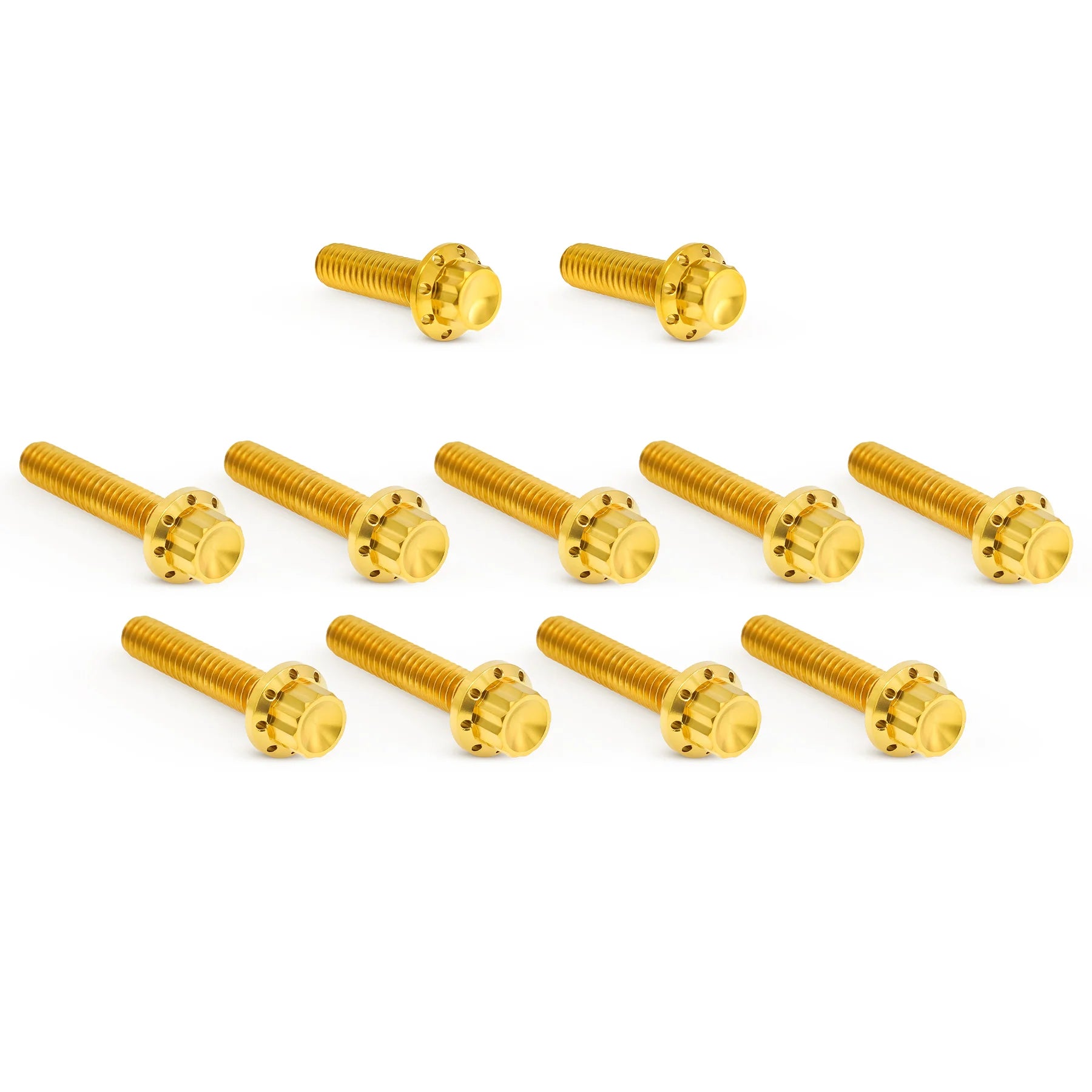 ARLEN NESS TITANIUM PRIMARY COVER BOLT KITS HARLEY DAVIDSON MODELS - The Speed Shop Canada