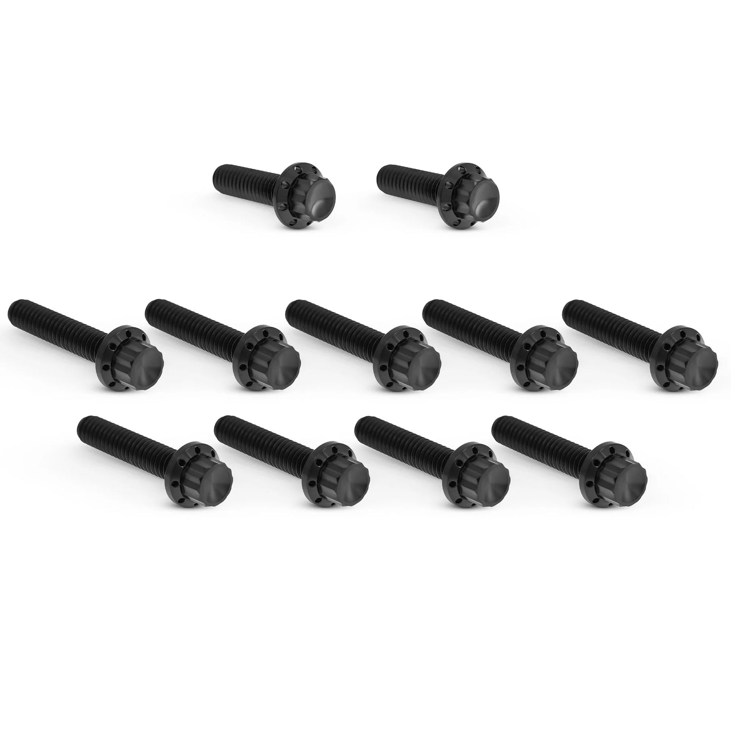 ARLEN NESS TITANIUM PRIMARY COVER BOLT KITS HARLEY DAVIDSON MODELS - The Speed Shop Canada